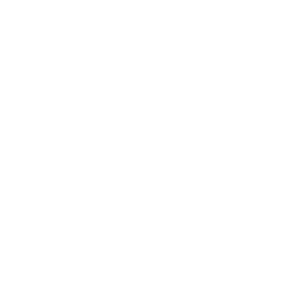 Aer company logo